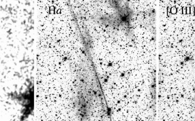 Emissions UV lointaines et optiques de trois très grands restes de supernova situés à des latitudes galactiques inhabituellement élevées