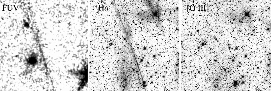 Emissions UV lointaines et optiques de trois très grands restes de supernova situés à des latitudes galactiques inhabituellement élevées